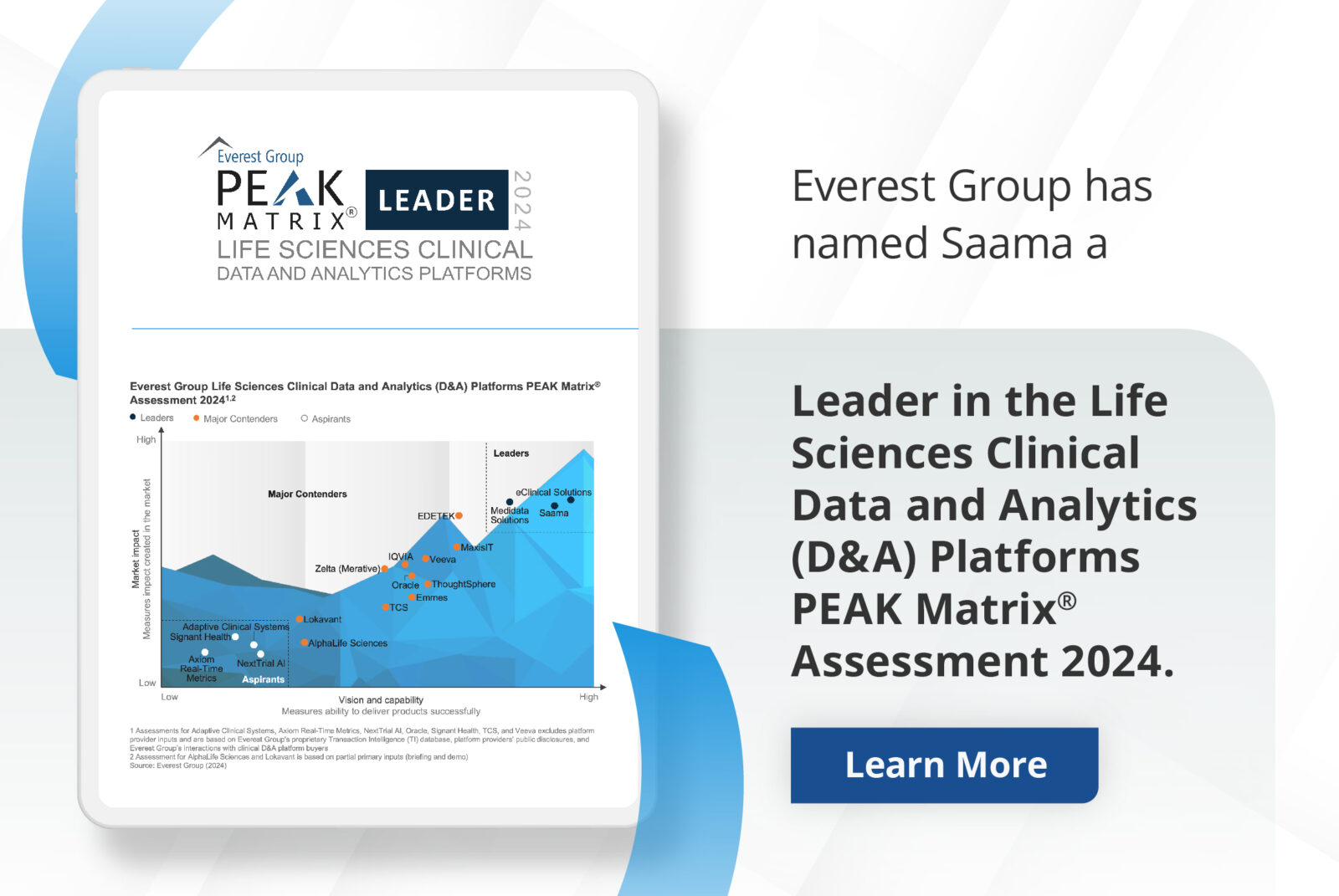 Everest Group PEAK Matrix